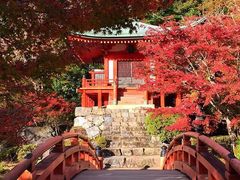 -醍醐寺
