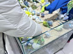 -三旗百汇商品城