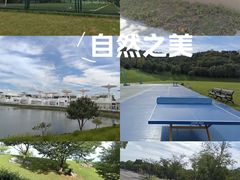 -羊山湖公园
