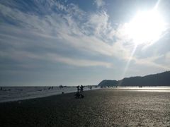 -大鹿岛