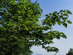 -昭山风景名胜区