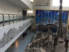 -中国地质大学逸夫博物馆