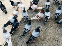 -加泰罗尼亚广场