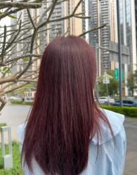 -潘多拉Hairsalon