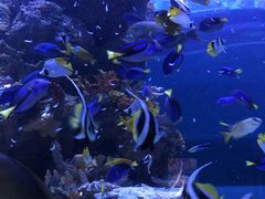 -成都浩海立方海洋公园