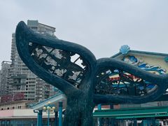 -海合安成都极地海洋公园
