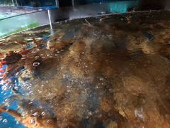 -徐记海鲜(梅溪新天地店)