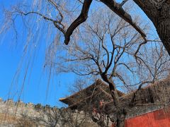-东华门大街小区