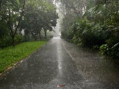 -华南国家植物园-售票处