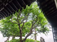 -苏州海洋馆