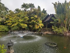 -厦门日月谷温泉渡假村