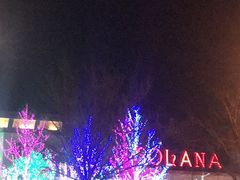 -So Lounge索兰至餐厅(蓝色港湾店)