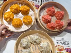 -百彦蒙古包·碳烤羊排·手抓羊肉(万江首店)