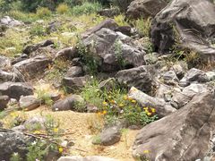 -九鲤溪瀑景区