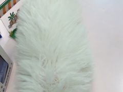-心仪动物医院·牙专科·肿瘤·心脏科(西客站院)