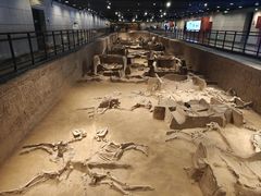 -洛阳周王城天子驾六博物馆