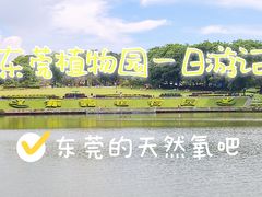 -东莞植物园