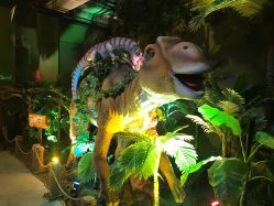 -恐龙探索乐园(磁器口店)