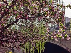 -元大都城垣遗址公园