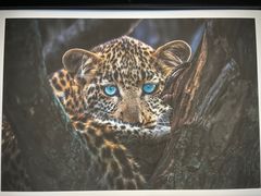 -罗红摄影艺术馆