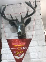 -川禾美发沙龙