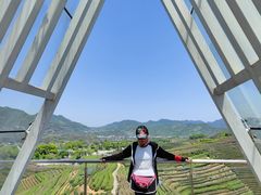 -龙坞茶村