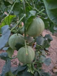 点击看大图 -悦家·美丽妈妈月子会所(龙奥店)