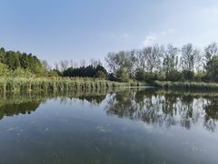 -溱湖国家湿地公园