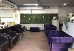 -红人馆造型十添