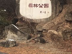 -白水寺森林公园