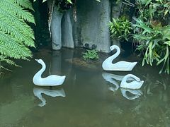 -东莞植物园