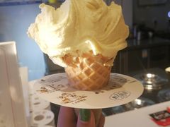 -野人牧坊Gelato(天津南开大悦城店)