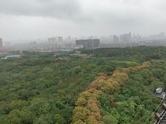 -宜兴龙背山森林公园