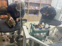 -老吴的猫·猫舍(新区店)