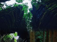 -梭布垭石林景区