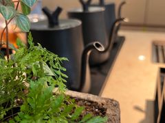 -本处·素食·融合料理(南油店)