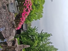 -虞山城墙