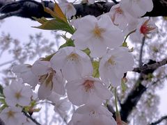 -龙美术馆(西岸馆)