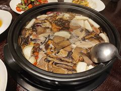 -滇野云南野生菌餐厅(陕西南路店)