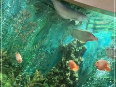 -红莲中餐厅(日航饭店)