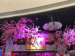 -韵秋荷(宝山龙湖天街店)