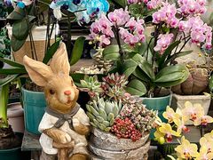 -双季花艺园艺市场(浦东店)