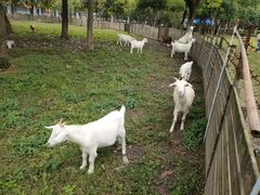 -杭州师范大学(下沙校区)