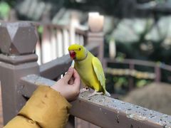 -南宫五洲植物乐园