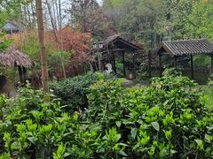 -木子山庄·安徽省老字号·中国炖锅宴