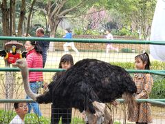 -香宫中餐厅 · 桂林香格里拉