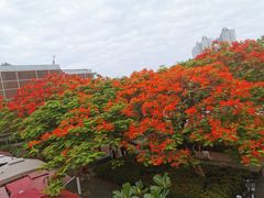 -缘生态云南菜·野生菌庭院餐厅(华侨城店)