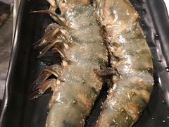 -熊出没日本烧肉放题