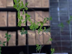 -M Stand(BFC外滩金融中心店)