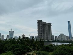 -狐尾山公园
